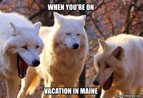 SusanneLeist's tweet photo. A vacation in Maine might be different from what you expect.
Don't claim I didn't warn you when the lights go out.

MEET ME IN MAINE
 
https://t.co/v4LFlLvD4W

#evilvember  #RomanticSuspense #booktwt https://t.co/fkS9CNozA7
