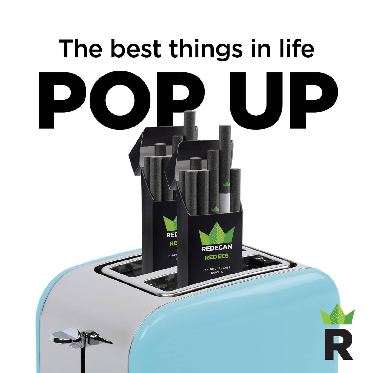 BudxpressCa's tweet photo. We know that all of our customers love a good pop up...👋🏼

#decibel #shoplocal #generaladmission #wetaskiwin #budxpress #madeinalberta #vapes #cartridges #new #instock #indica #sativa #hybrid #budxpressca #budxpresscacommunity https://t.co/cj33lVVgpB