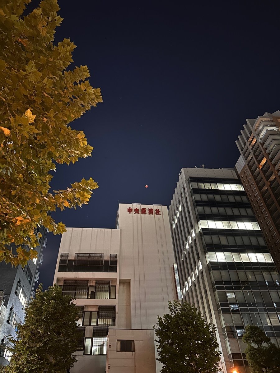 Jeffrey Bergier tweet media