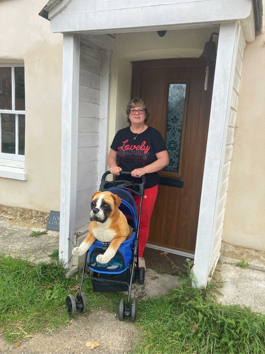RedWPC's tweet photo. #Justtakingthedogforawalk https://t.co/KdUJNqqB3l