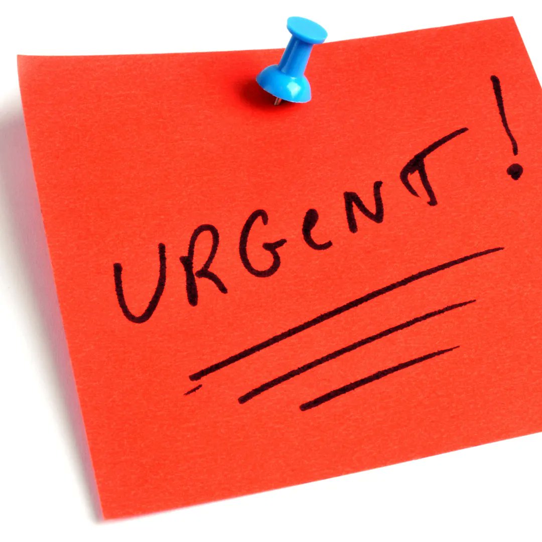 MinorandJamesSS's tweet photo. Urgent same day and next day appointments are available in our Ear, Nose and Throat department. We will do our very best to accommodate urgent appointments and get you the care you deserve. https://t.co/F8mjTLmWZH https://t.co/aTLLhEfdAZ