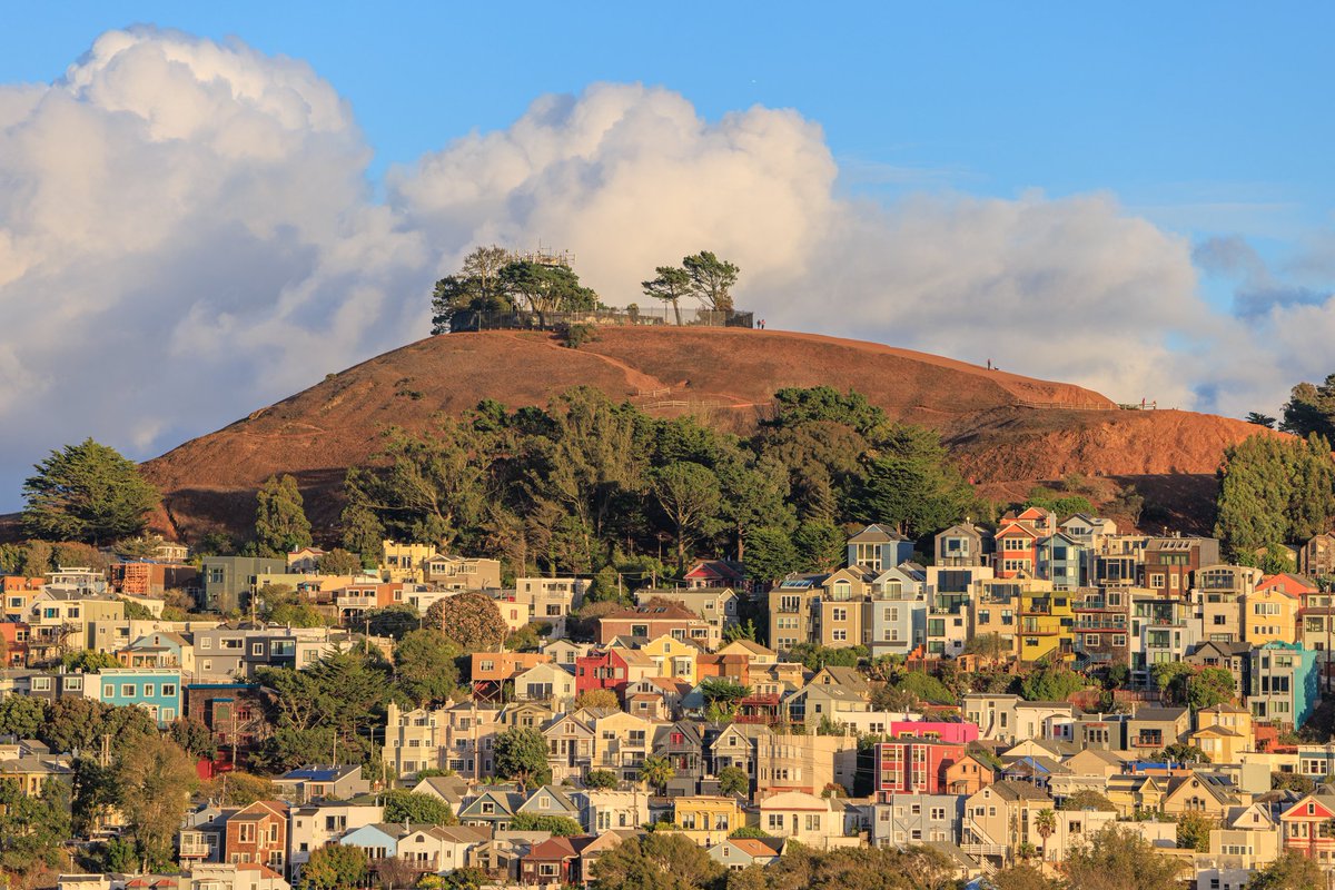 It turned into a lovely day for the walk to our drop off our ballots, although, I would have also walked in the rain.