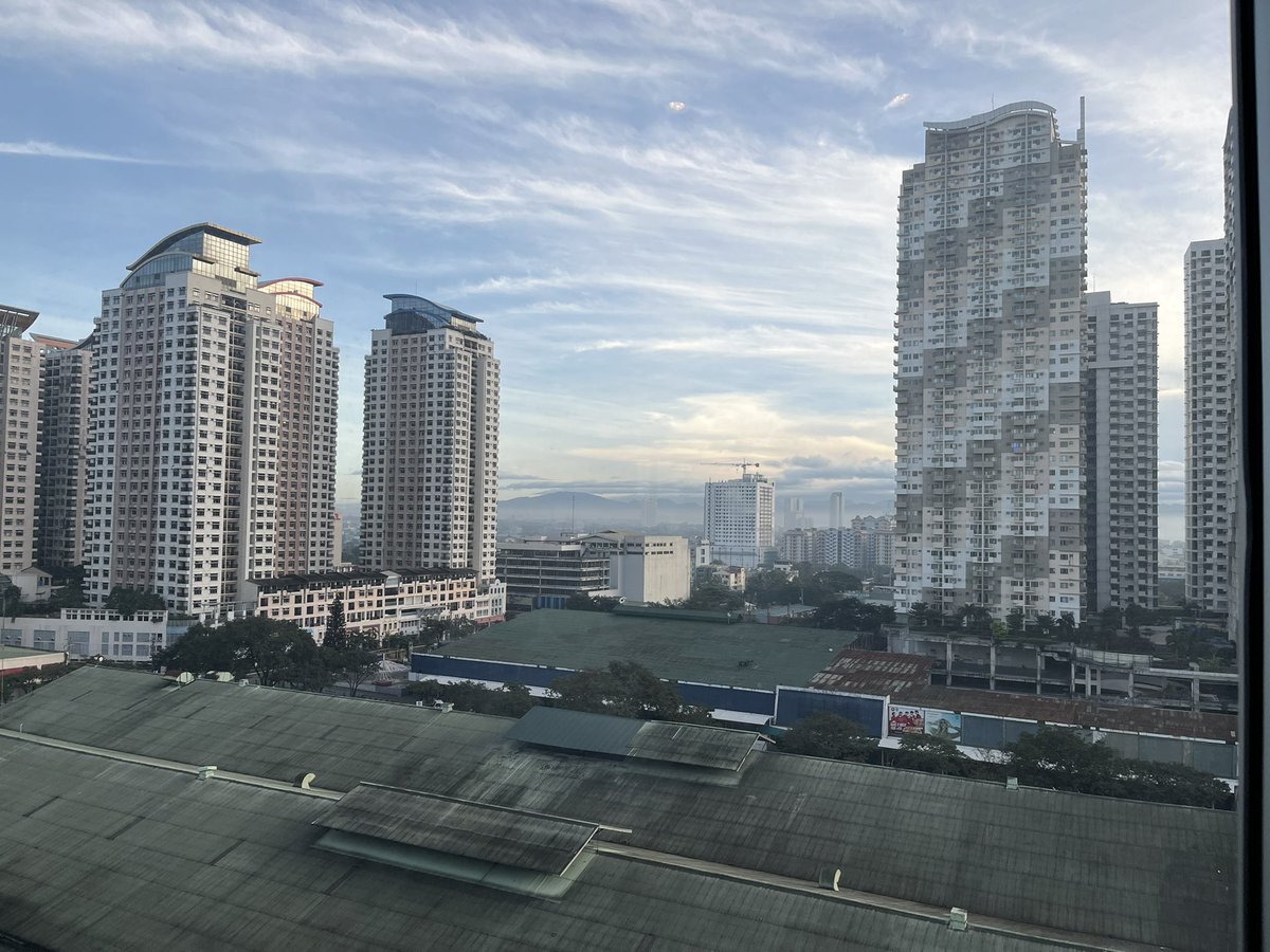 Maxine Mowe tweet media