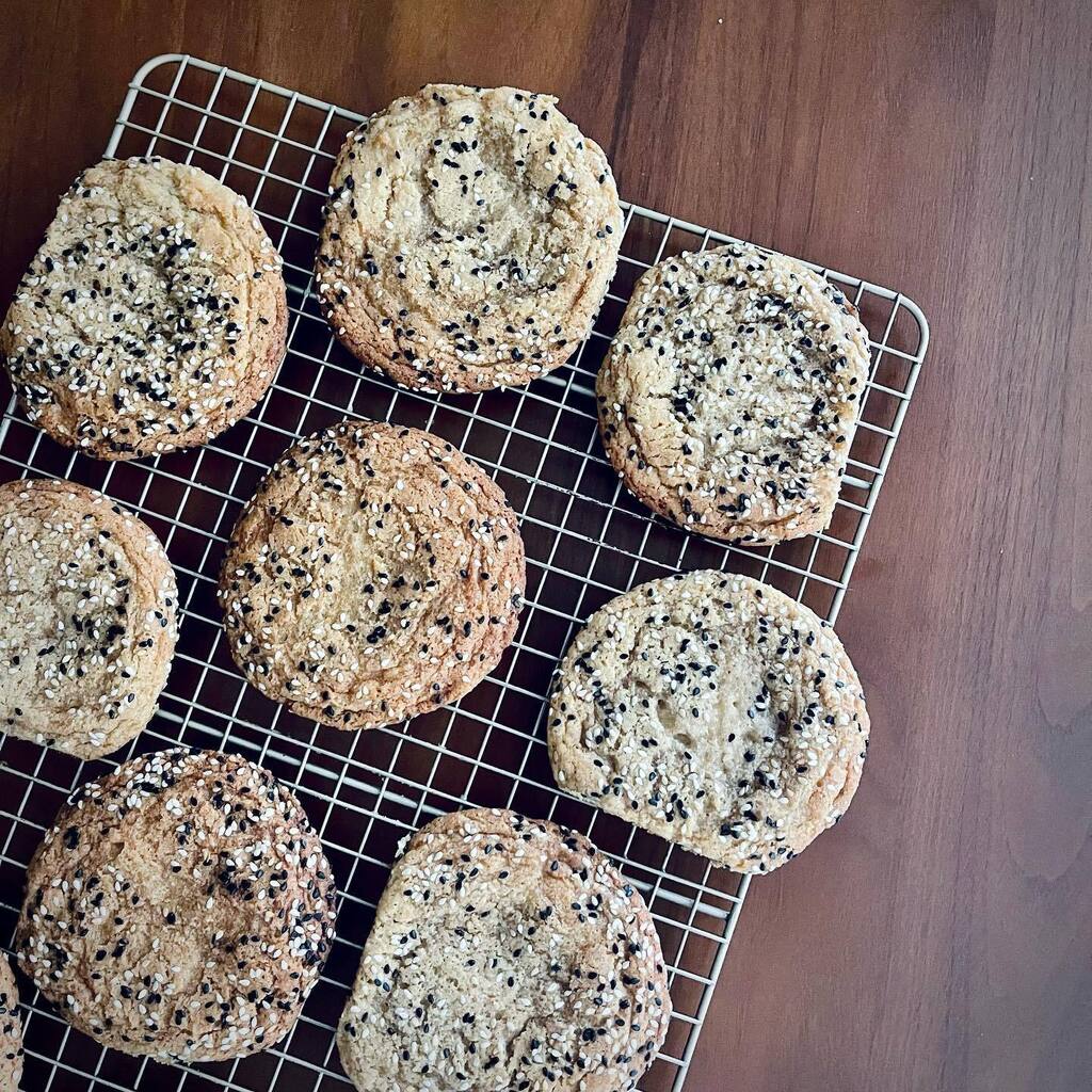 shannon weber tweet media