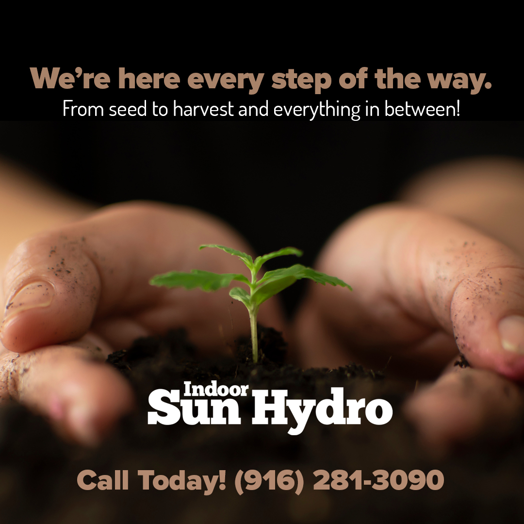 Indoor Sun Hydro tweet media