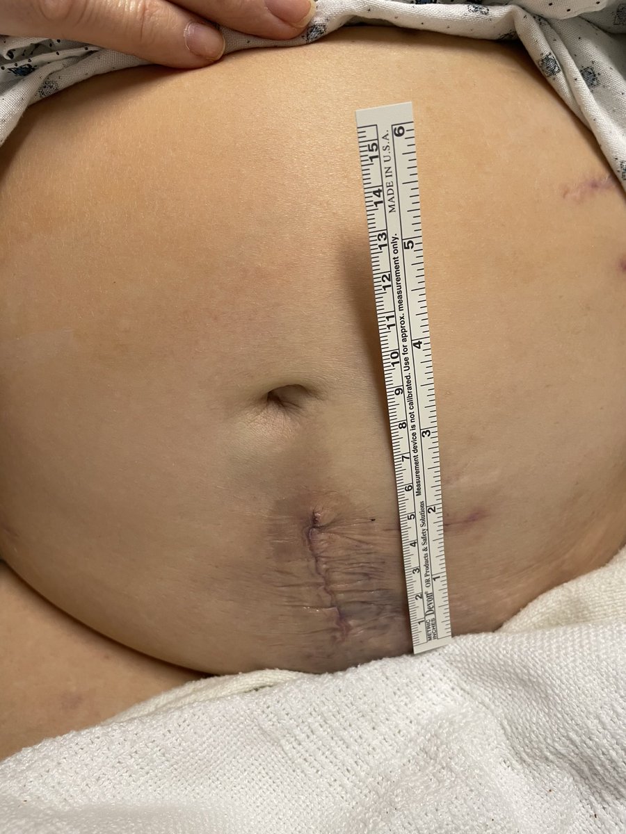 Mohamed Eltemamy tweet media