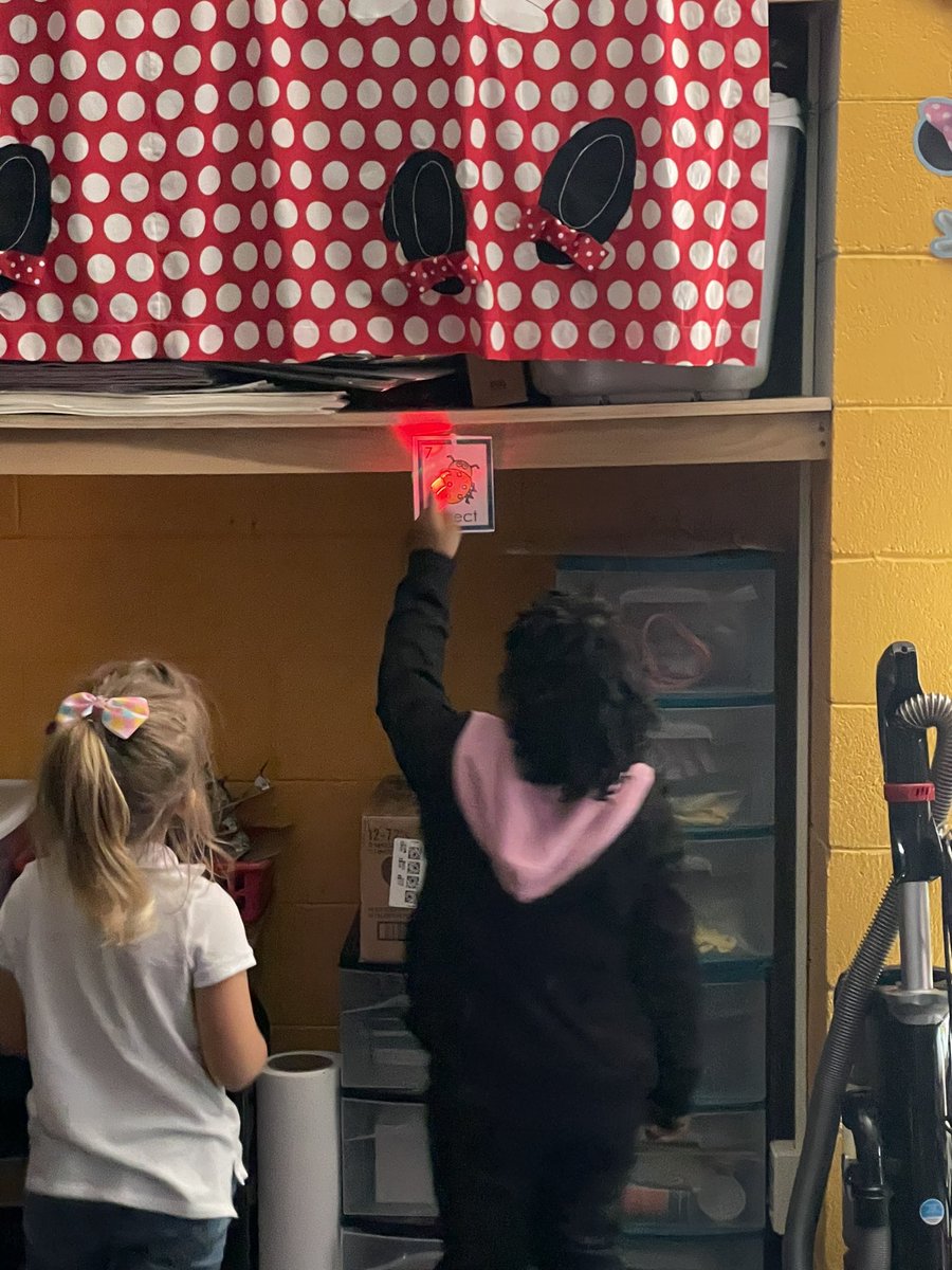 Kelly Hain tweet media