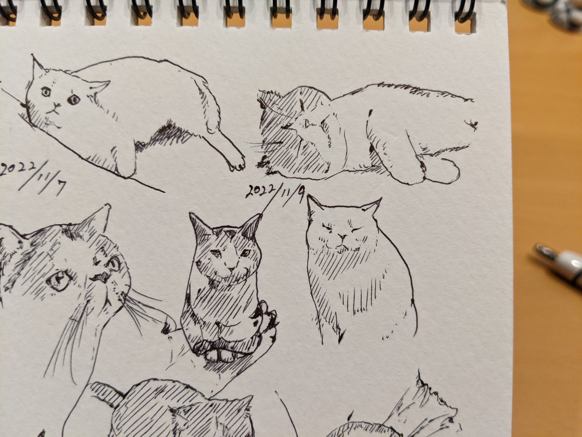 誕生日なのです なにかくれ ナンチャッテ カキカキ。 