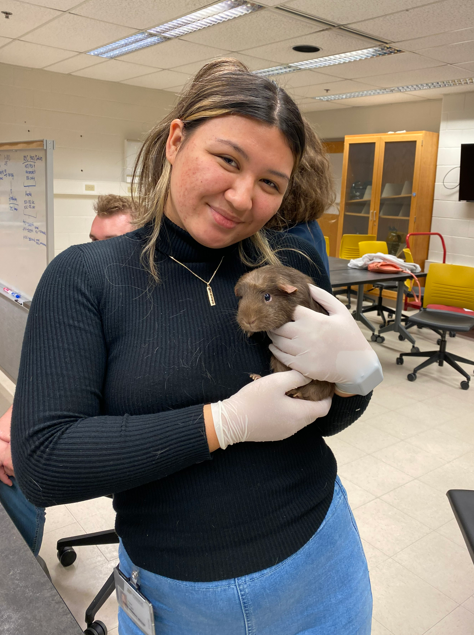 Tweet by Purdue Veterinary Medicine