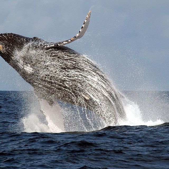 ɢ ᴇ (@kactuinsf) on Twitter photo 