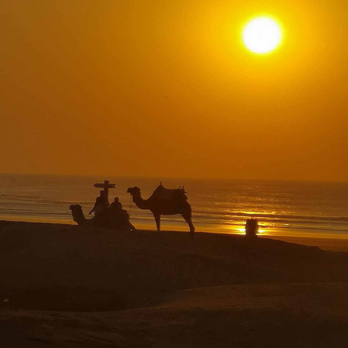 #Essaouira 2020
#NoFilter