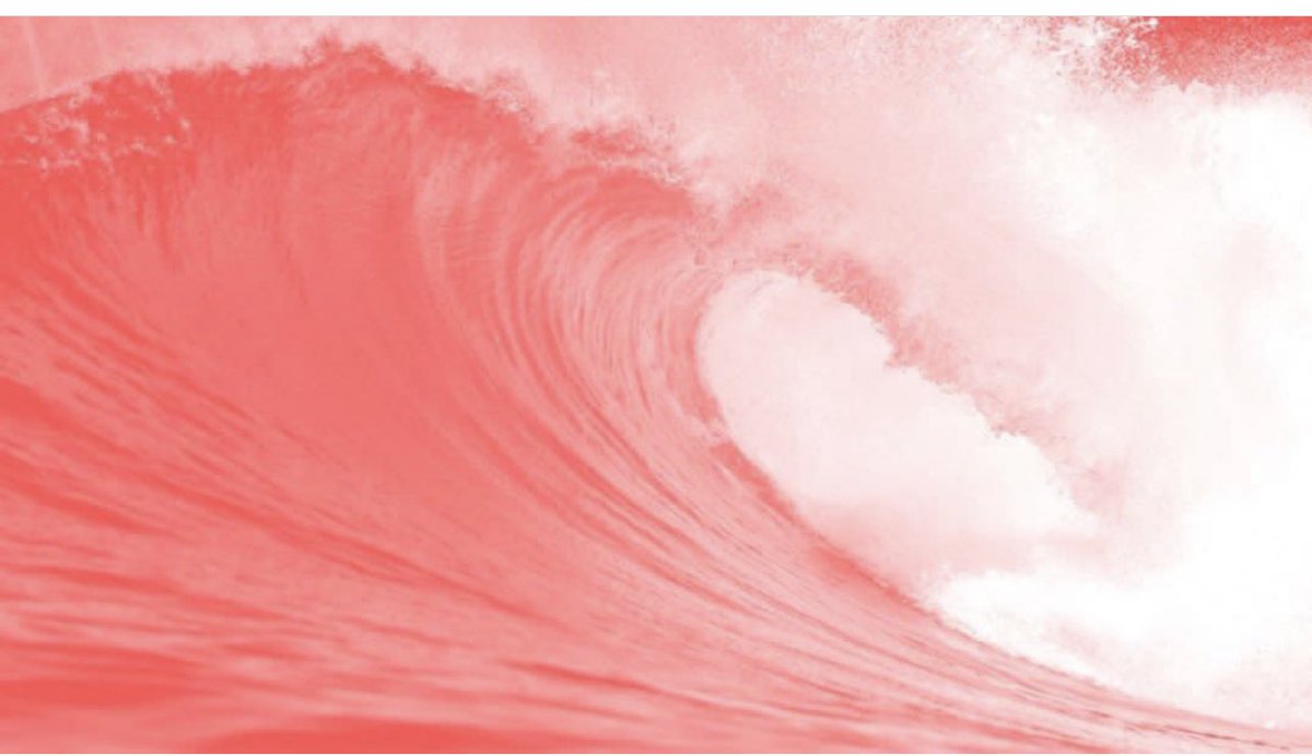 the red wave is coming. We are going to fire all these POS democratic politicians https://t.co/MNPeFuDYrk