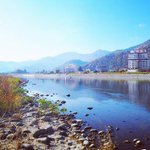 ツイートに含まれる画像