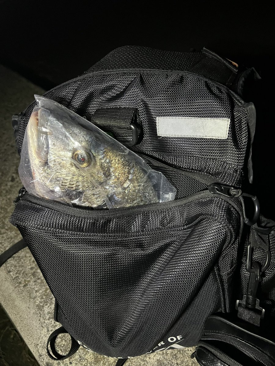 素人ボーイズのカズ (@ShirotoB) / Posts / X