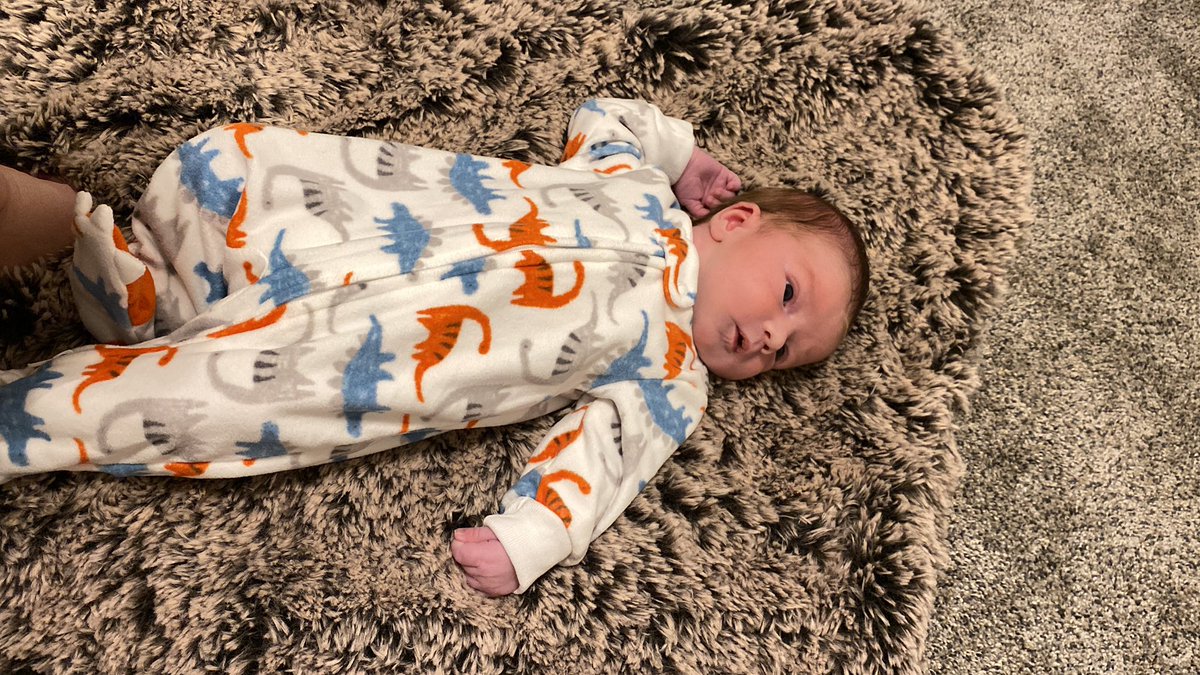 KaylynnSeely's tweet photo. I am obsessed with him! Meet baby Colt :))) https://t.co/vp8MFc2bNp