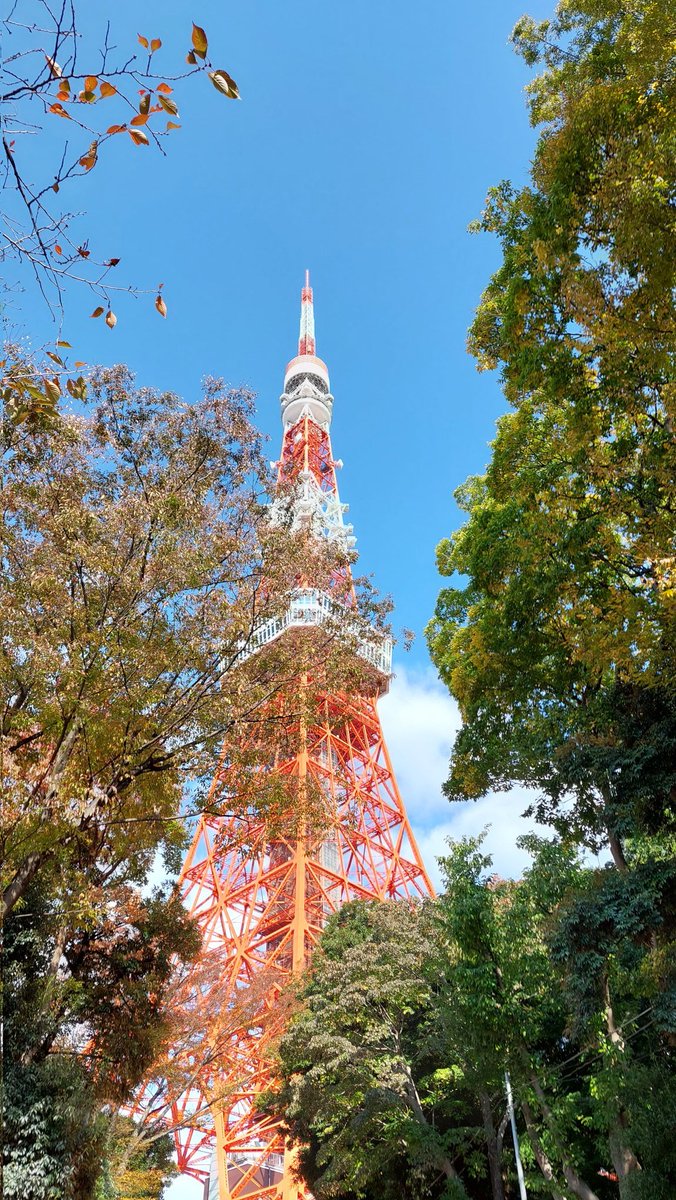 wiseman_show_ch's tweet photo. 11/9 本日もオープンです✨

#東京タワー 3F『#TOWERGALLERY　にて

11月１日～11月13日まで開催！

美術展&amp;イベ
『Will of Tokyo Tower＆和出展』開催中！

入場無料！

東京タワー公式WEBサイトにも掲載されました🗼

特設ページ
https://t.co/rK82aPKqmy

#ワイズマン
#willoftokyotower 
#和出展 https://t.co/pVsOvJMxID