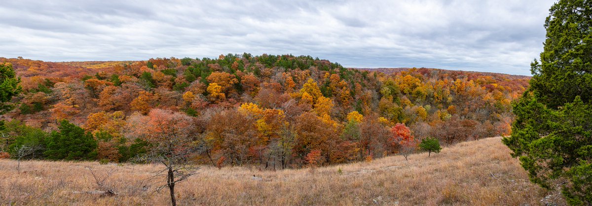 ShowMeNature's tweet photo. For Evening: "Off the Beaten Trail" https://t.co/60qYLUfX1W #Missouri #Ozarks #nature #photography #fall_colors https://t.co/i3SLjCmYzK