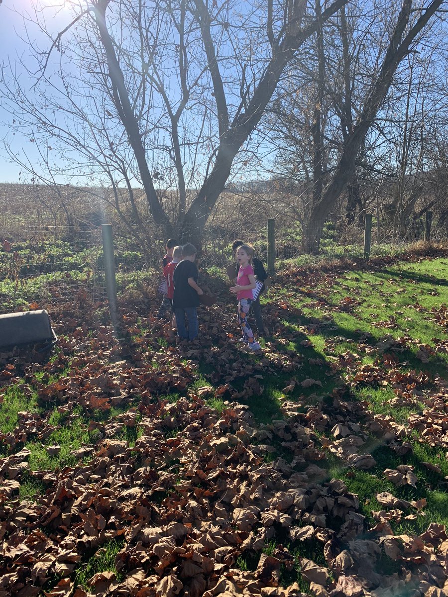 TeachJenFischer's tweet photo. Nothing better than a Fall nature walk! 🍁☀️🍄 #FTSFireballs https://t.co/ipevaKhrfu