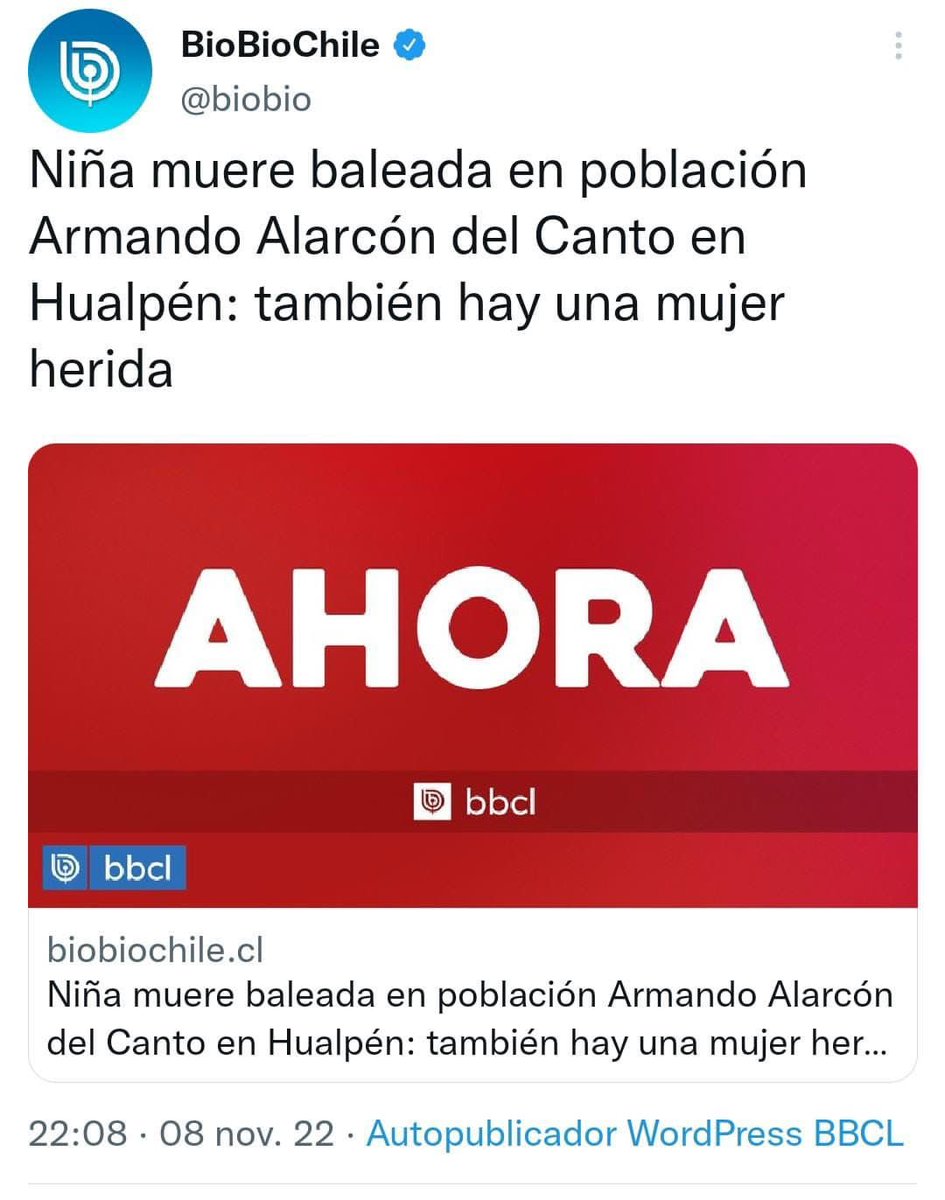 Constanza Hube tweet media