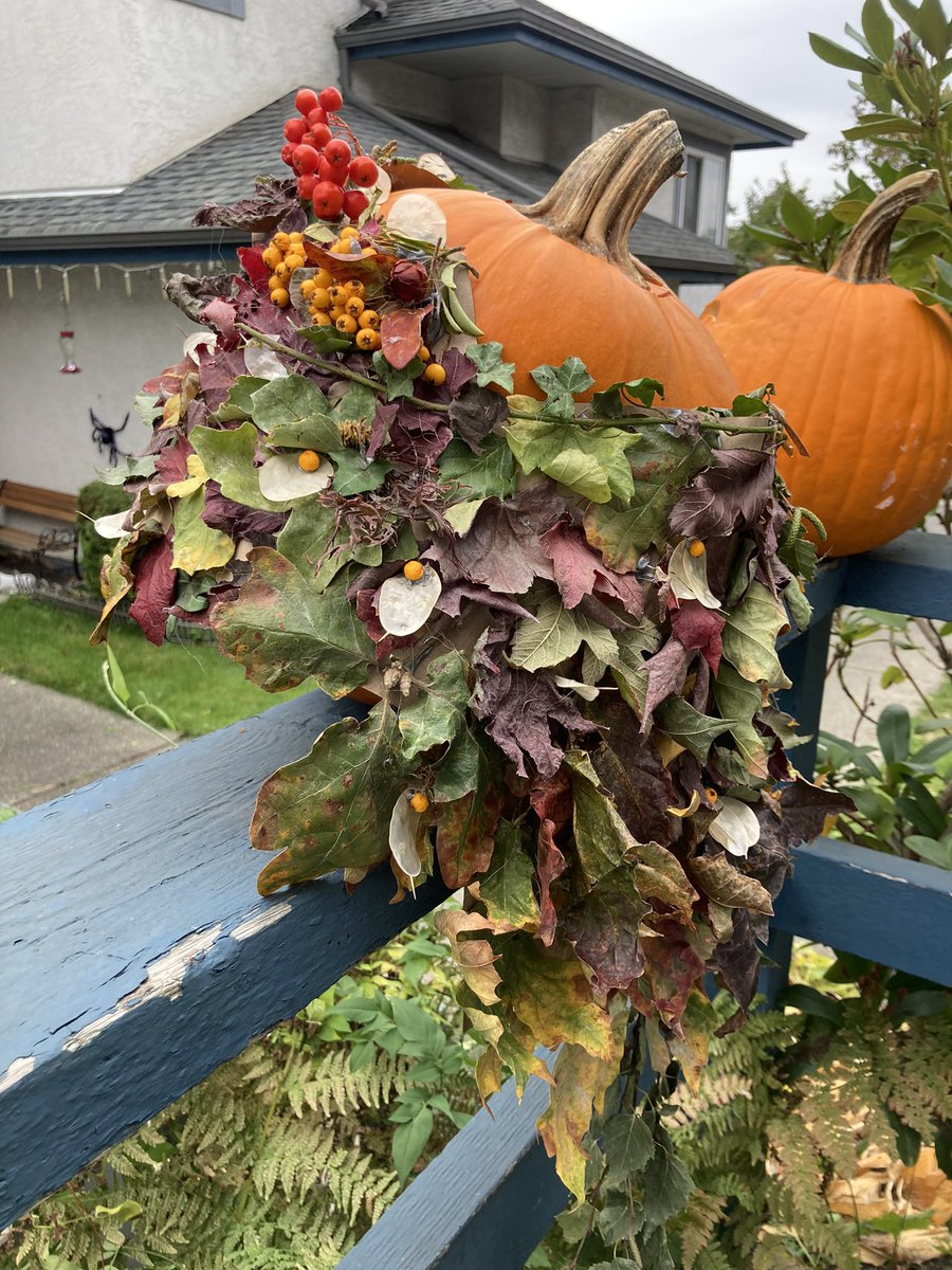 AlexineCleans's tweet photo. Falling into autumn with leftovers, dry leaves and mossy walks in the fog 🍁��🥹 https://t.co/xoRGdzGofA