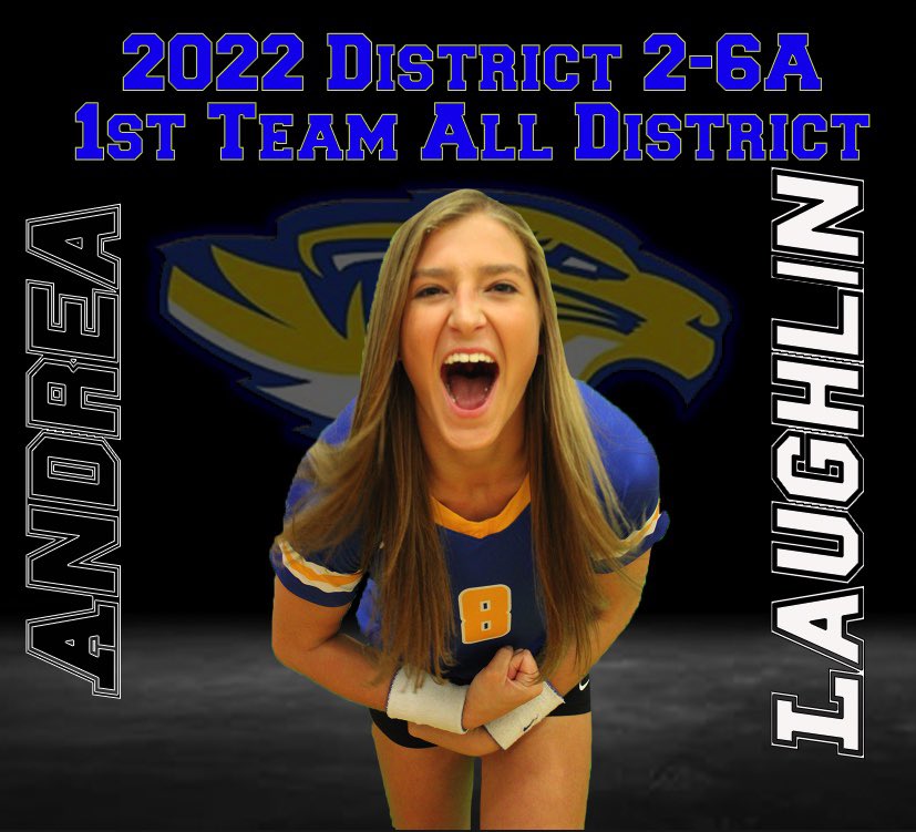 volleytigers's tweet photo. And now, the two Tiger Volleyball member who were selected 1st Team All District. Join us in congratulating our Sr outside hitters, Andrea Laughlin and Zaiah Buchanan! 💙💛🐯 https://t.co/7emsrzmWBz
