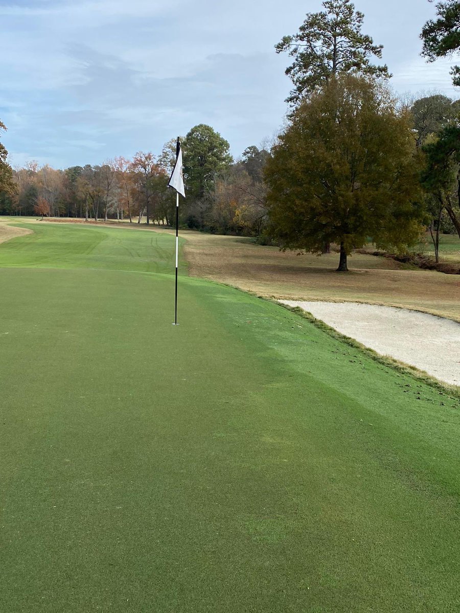 golf course enthusiast tweet media