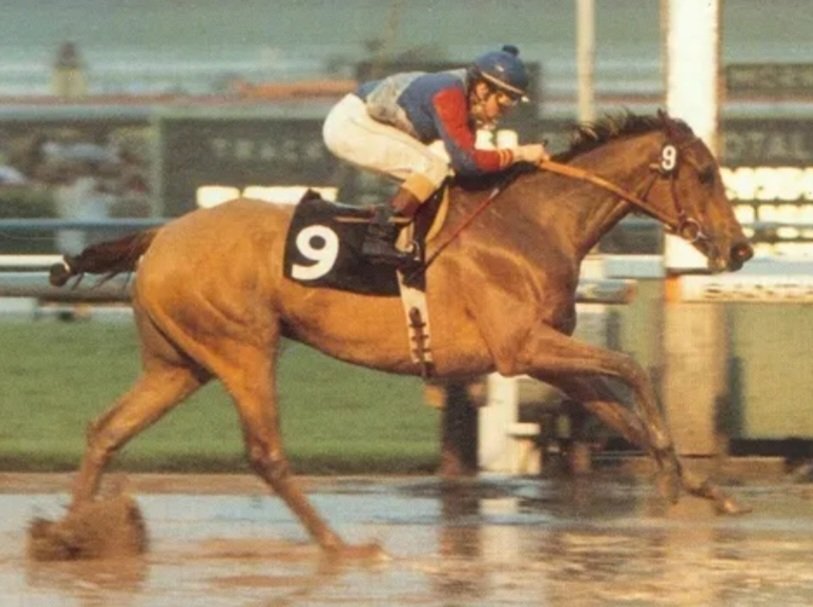 HORSERACING1002's tweet photo. VIDEOGENIC๐บ๐ธ1982
(CAUCASUS - VIDEO BABE BY T.V. COMMERCIAL)#Videogenic Stakes winner ๐ in USA ๐บ๐ธ. https://t.co/1dTneg5t6o