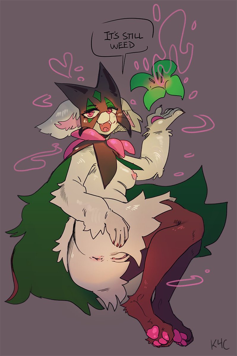 sprigatito final evo is kinda cute tbh