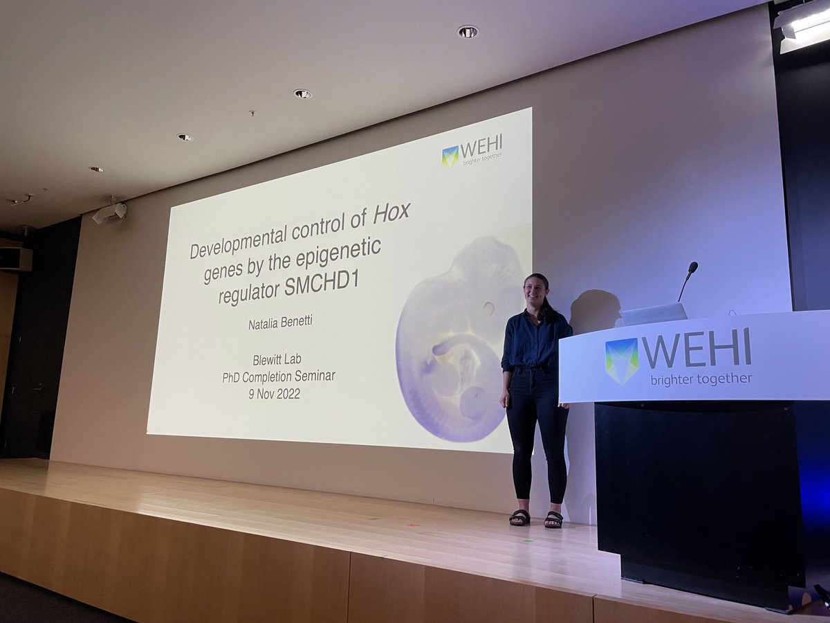 BlewittMarnie's tweet photo. Proud moment - ⁦@nataliabenetti_⁩ is about to give her PhD completion seminar ⁦@WEHI_research⁩…the anticipation! https://t.co/gEzoxLuzRY