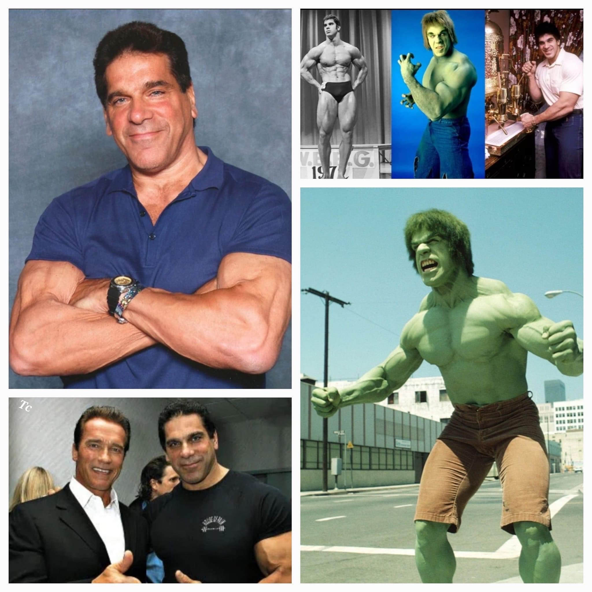 Happy Birthday. Lou Ferrigno. November 9th 1951, (71) 