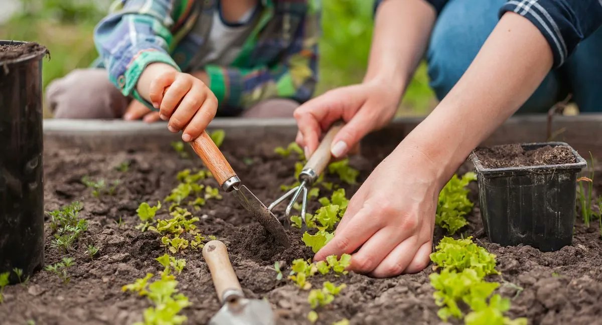 Sometimes the best amenities aren't even inside the unit. Check out this great piece by @mulitfamilydive on fostering community in the outdoor areas of your property. buff.ly/3NPng1a