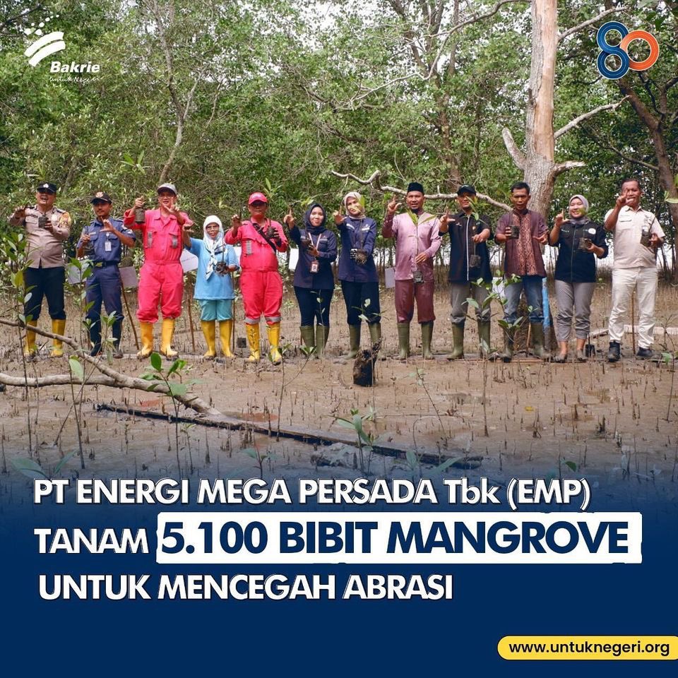 InformasiBakrie's tweet photo. PT Imbang Tata Alam selaku anak perusahaan dari PT Energi Mega Persada Tbk mendukung konservasi mangrove dan juga memberikan bantuan sembako ke warga daerah setempat.

#GenerasiBangunNegeri
#Bakrie80Tahun
#BakrieUntukNegeri https://t.co/SuOhLTZyAz
