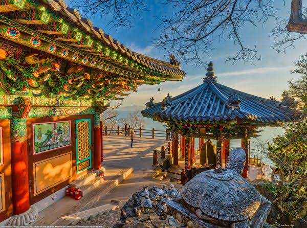 🇰🇷𝗧𝗜𝗔𝗡ₜᵢₐₙ🪔天上天下 唯我独尊 tweet media