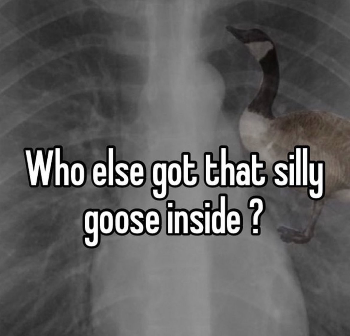 ‍ ‍ ‍ 𝐖𝐇𝐀𝐓’𝐒 𝐈𝐍 𝐘𝐎𝐔𝐑 𝐇𝐄𝐀𝐃? (@is0trcpy) on Twitter photo 