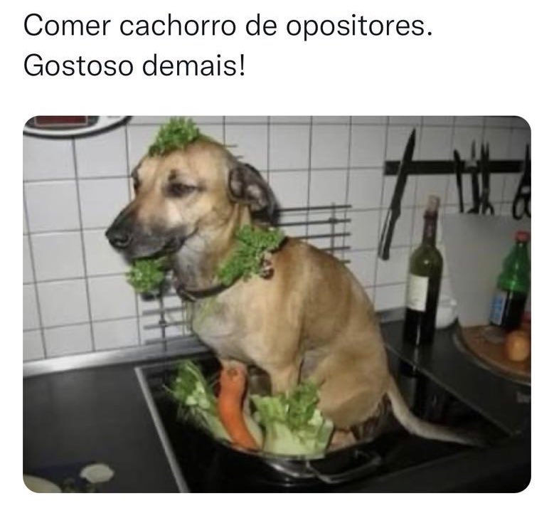 natashalopesp's tweet photo. @Jhenrik98 @PATRlOTAS Trate de  engordar seu cachorro https://t.co/3x9PwOfiqB
