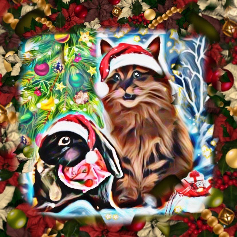 ♡princess tweet media