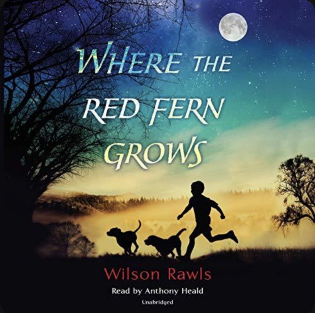 Wilson Rawls's Where the Red Fern Grows glows with the magic of a childhood under the sun &amp; stars, beneath towering boughs, traipsing through the brush, splashing through the streams, &amp; rambling over hills with two loyal, loving pups, a young man's best friends. #msjacksonreads