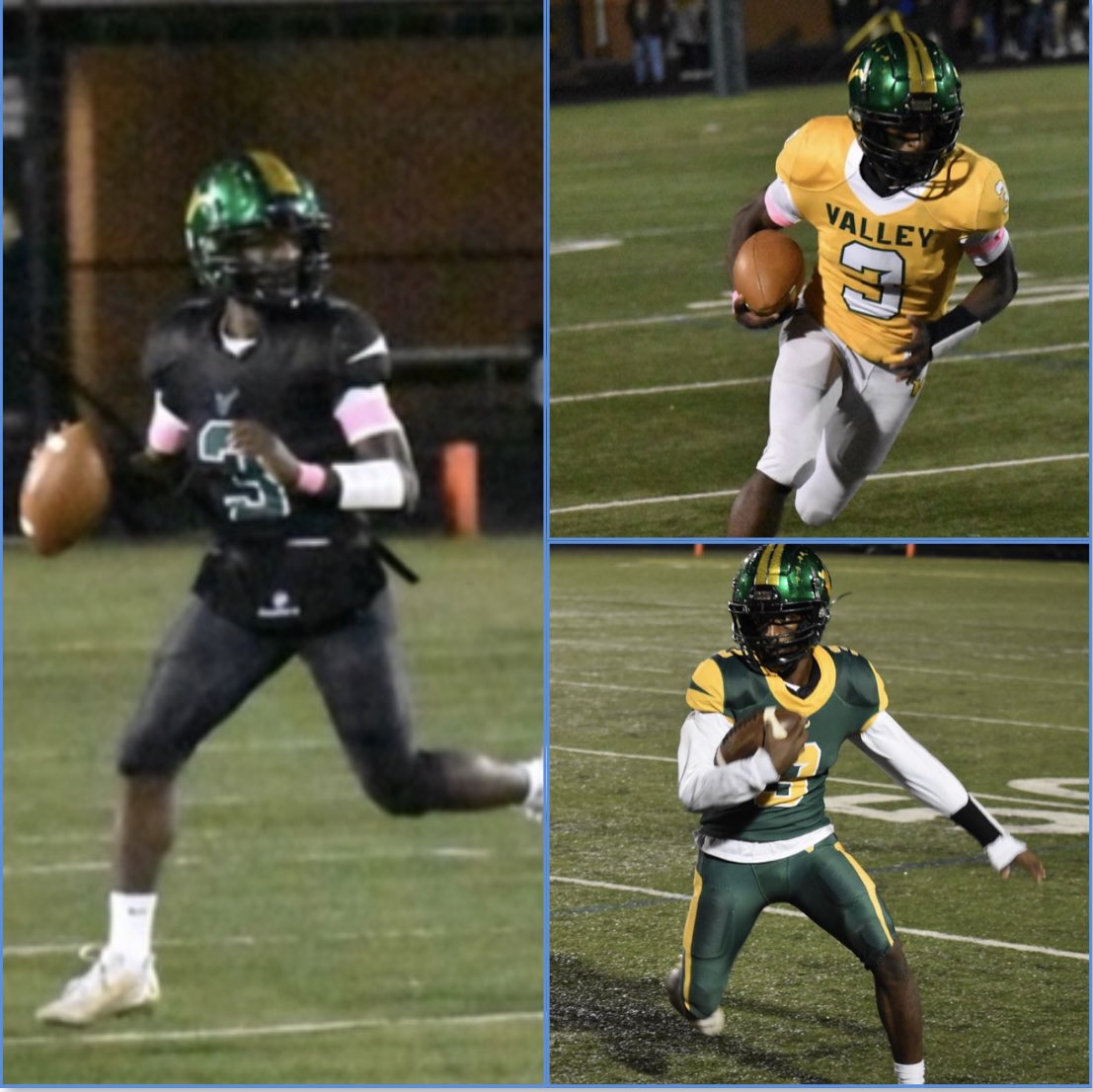 Loudoun Valley Football tweet media