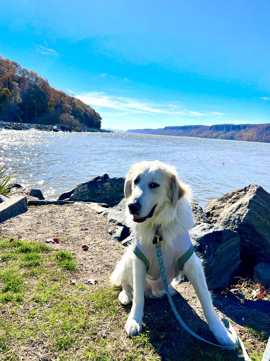 I see the city Papi! #NYC #Walk3