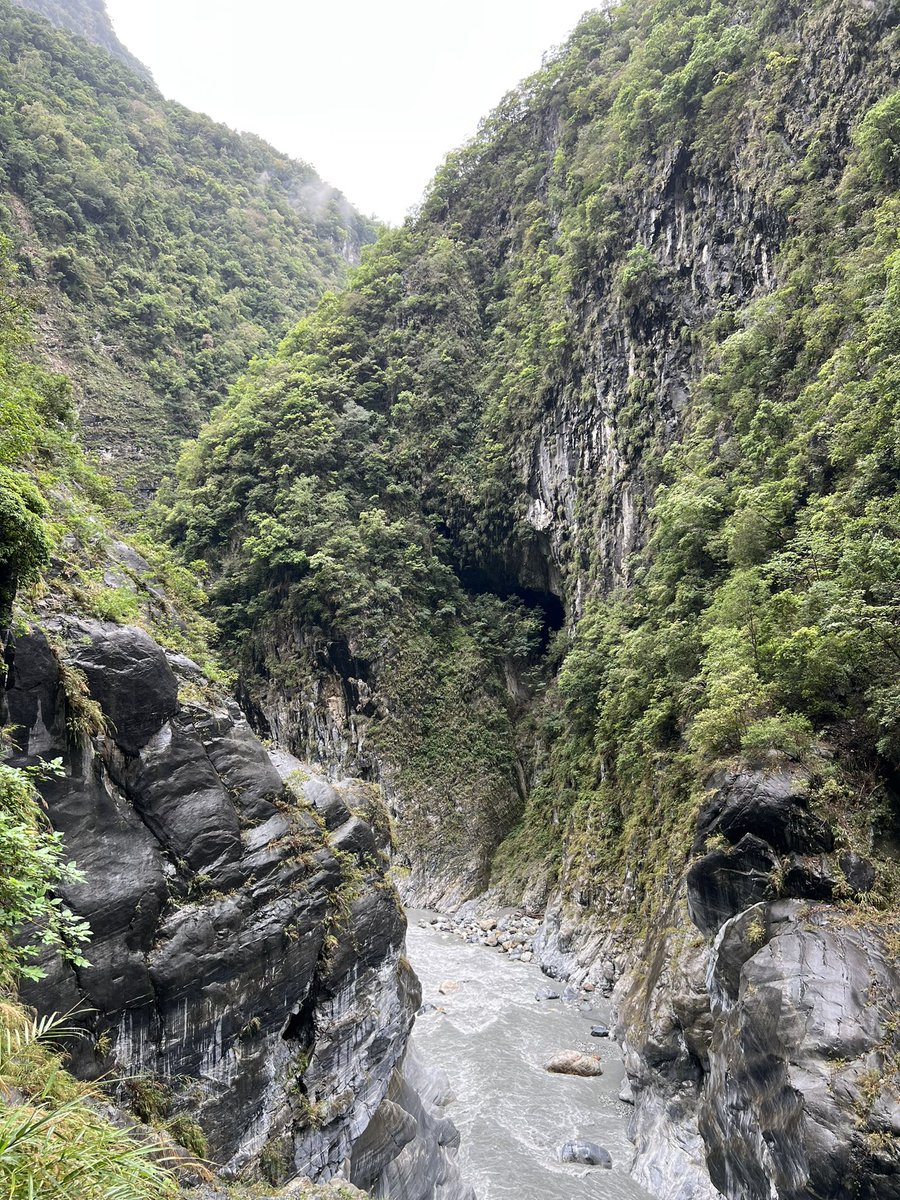 早知道這幾天那麼精彩就不用特地來看斷崖
看FTT K線就好啦