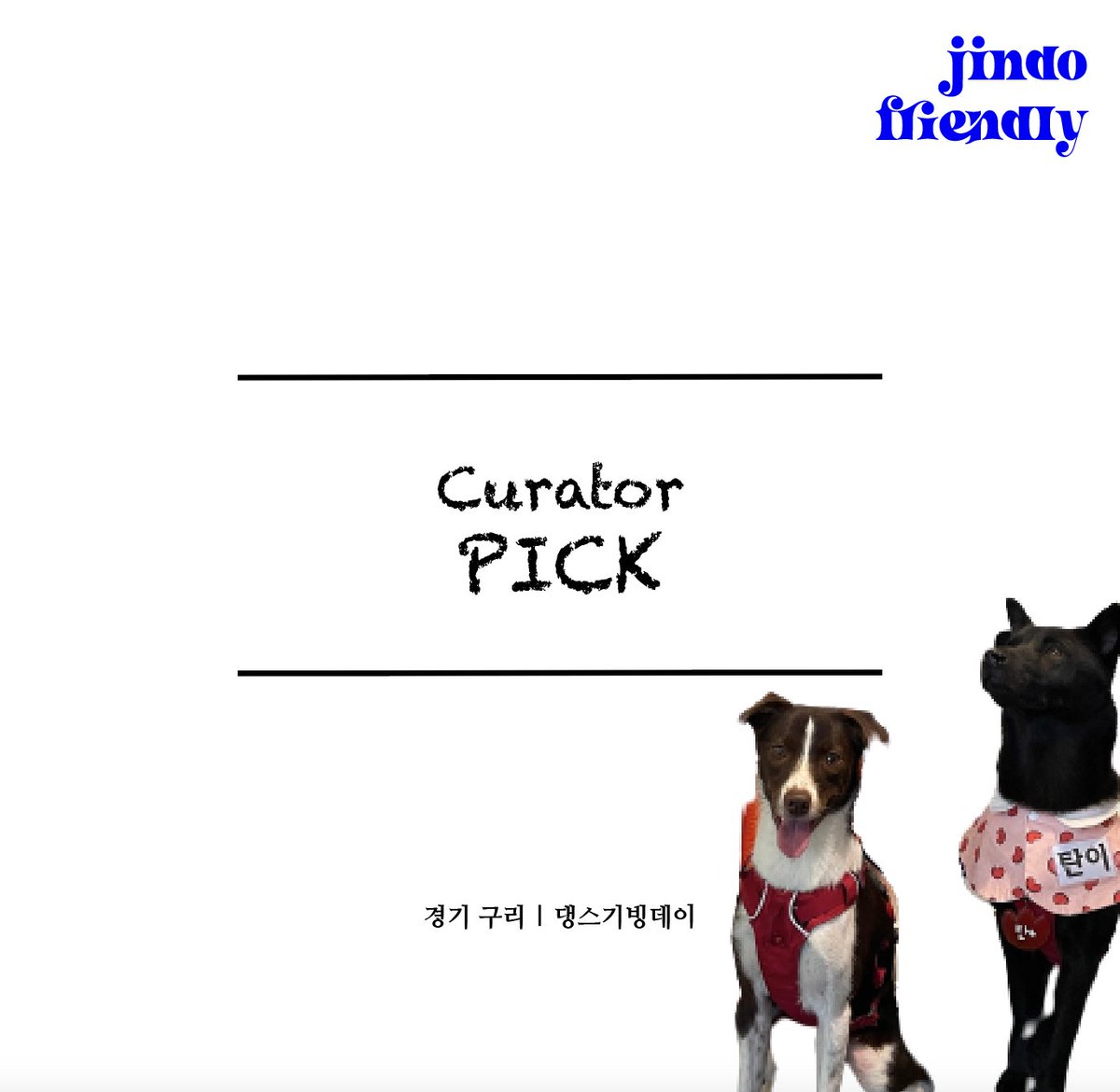 #진도프렌들리 #진플큐레이터 

오늘은 구리로 떠나봅니다!

👉 instagram.com/p/CkuUwrKLscR/…
👉 cafe.naver.com/jindofriendly/…

💙