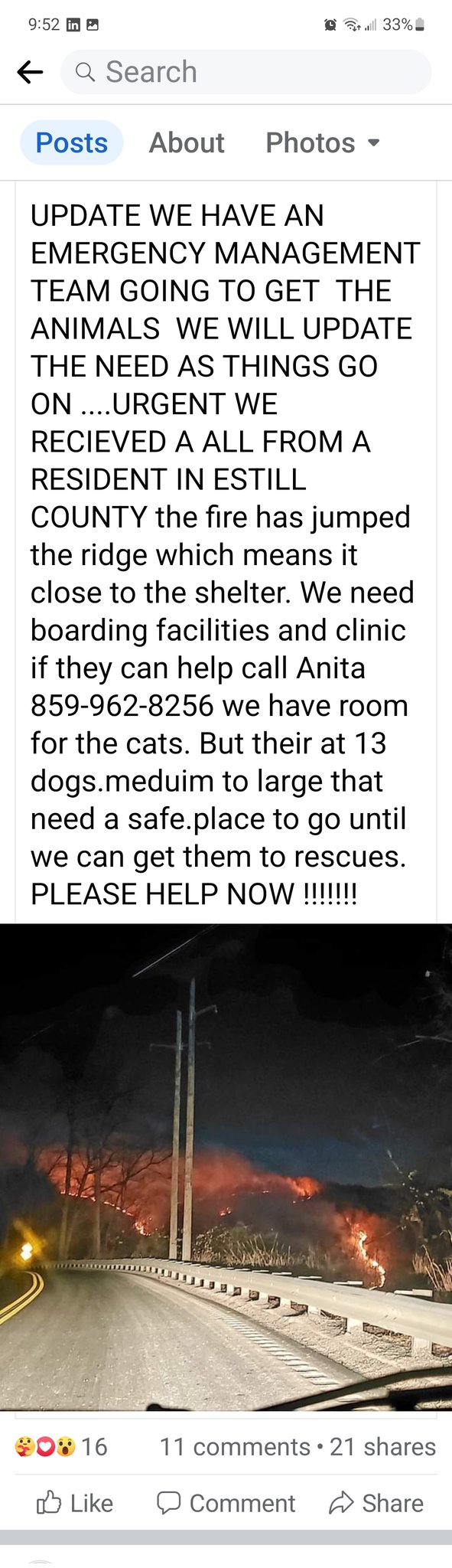 Ethan's Rescue Pet Project on Twitter "We may need to organize another