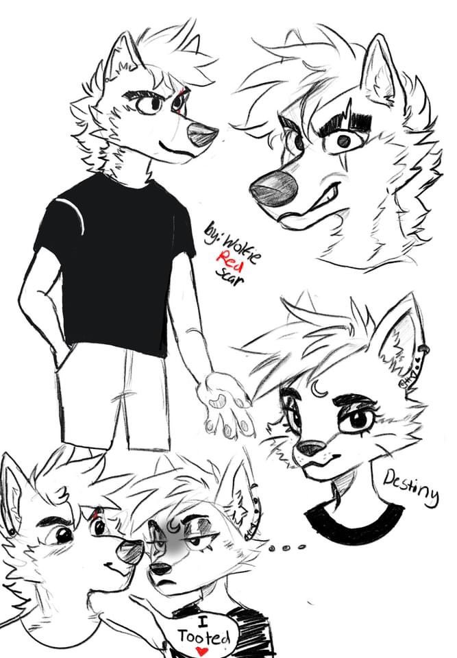 WRedscar's tweet photo. Finally watched the movie Bad Guys  and I drew my fursona in the art style🥹🖤 https://t.co/GHnAo3SMVx
