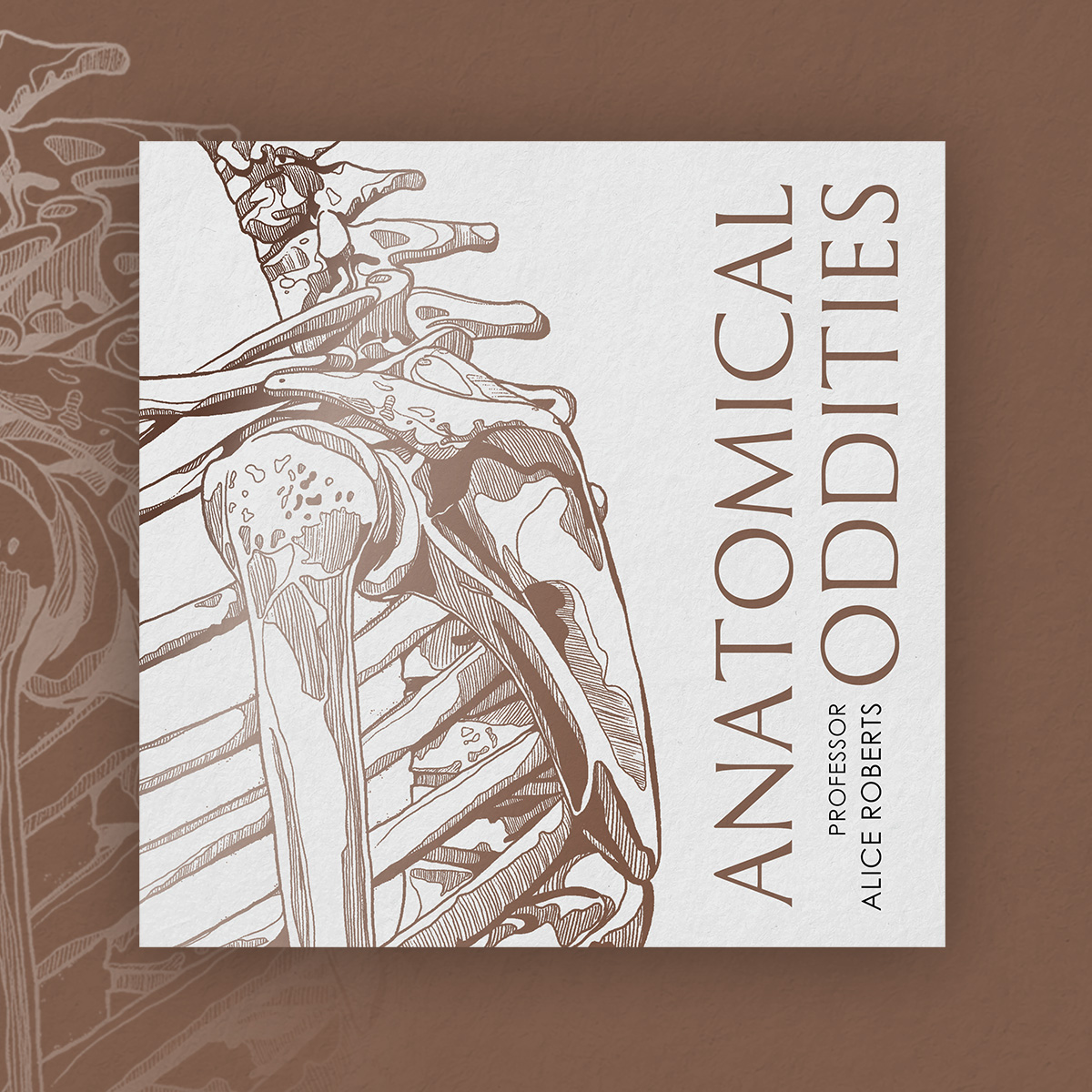 Prof Alice Roberts💙 tweet media