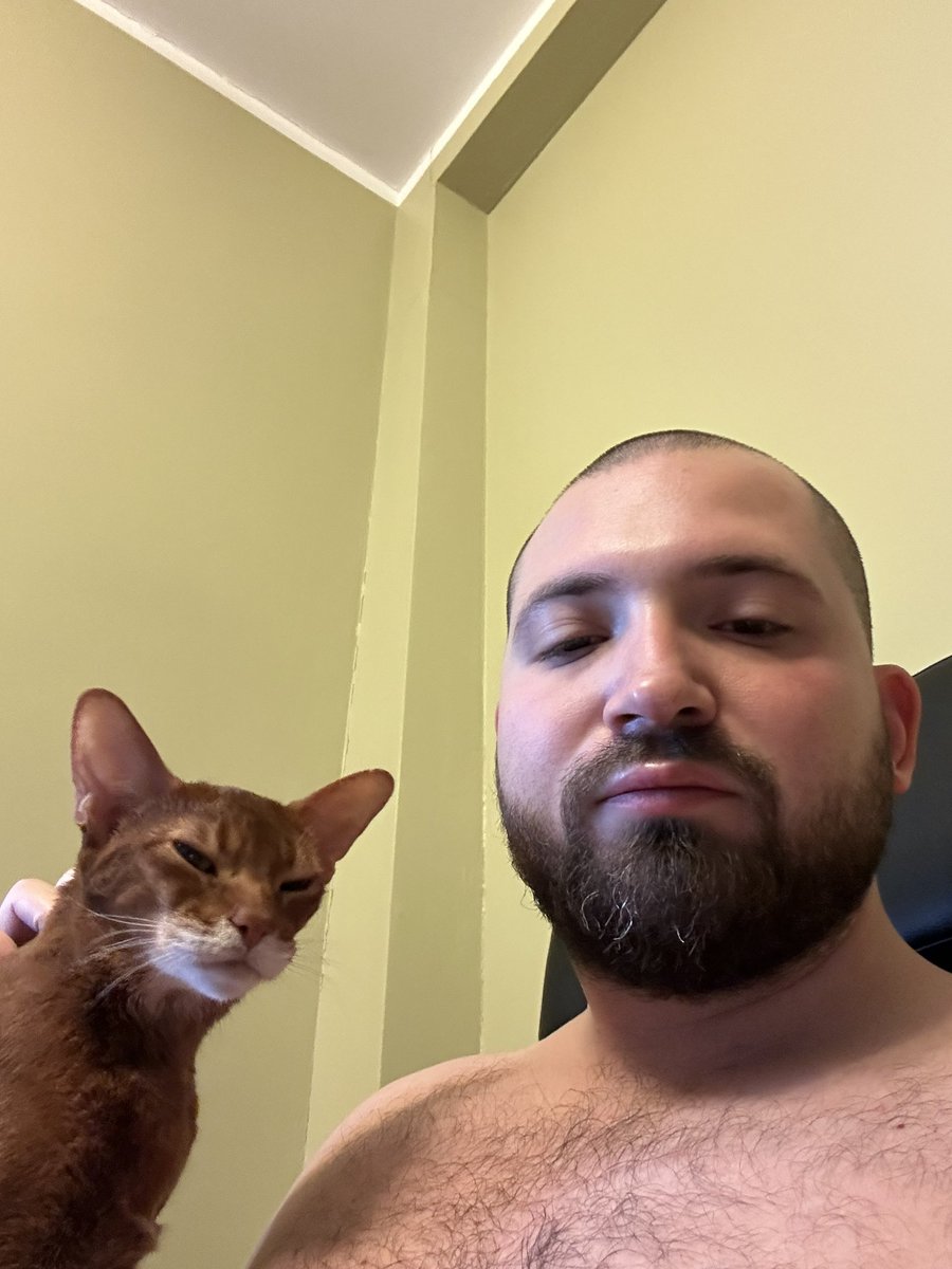 NRuzhin's tweet photo. POV: утро с ласковым и нежным зверем https://t.co/wwmhrn2mYd