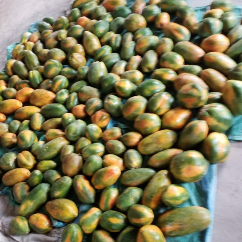 Tuko sokoni. Contact us through +254727768892 for your order.