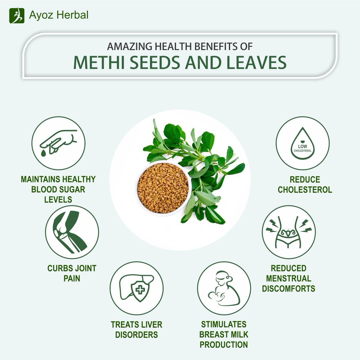 #ayozherbal Healthy Benefits Of Methi Seeds And Leaves.
.
.
#benefits #methibenefits #methiseeds #methileaves #manybenefits #maintanhealth #healthyfood #maintaineveryday #weightloss #reducecholesterol #jointpain #liverdisorders