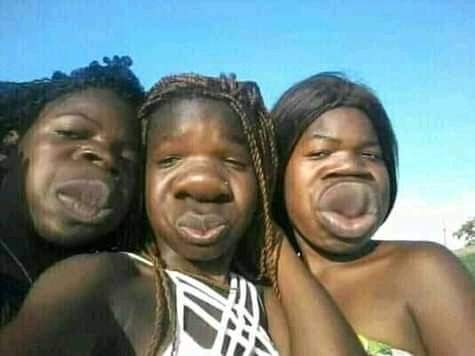 التفشيل البجيك من الحوليك وكترة الاذية من القريبين منك مرض محتاج علاج عشان من حقك تتخلص من كل زول بضرك وبمسح بكرامتك الأرض أبعد من كل شلة دايرة شماتك وعترتك حياتك دي بتعيشها مرة واحدة فعيشها بكرامتك واصبعك في عين أي إنسان بقلل منك...