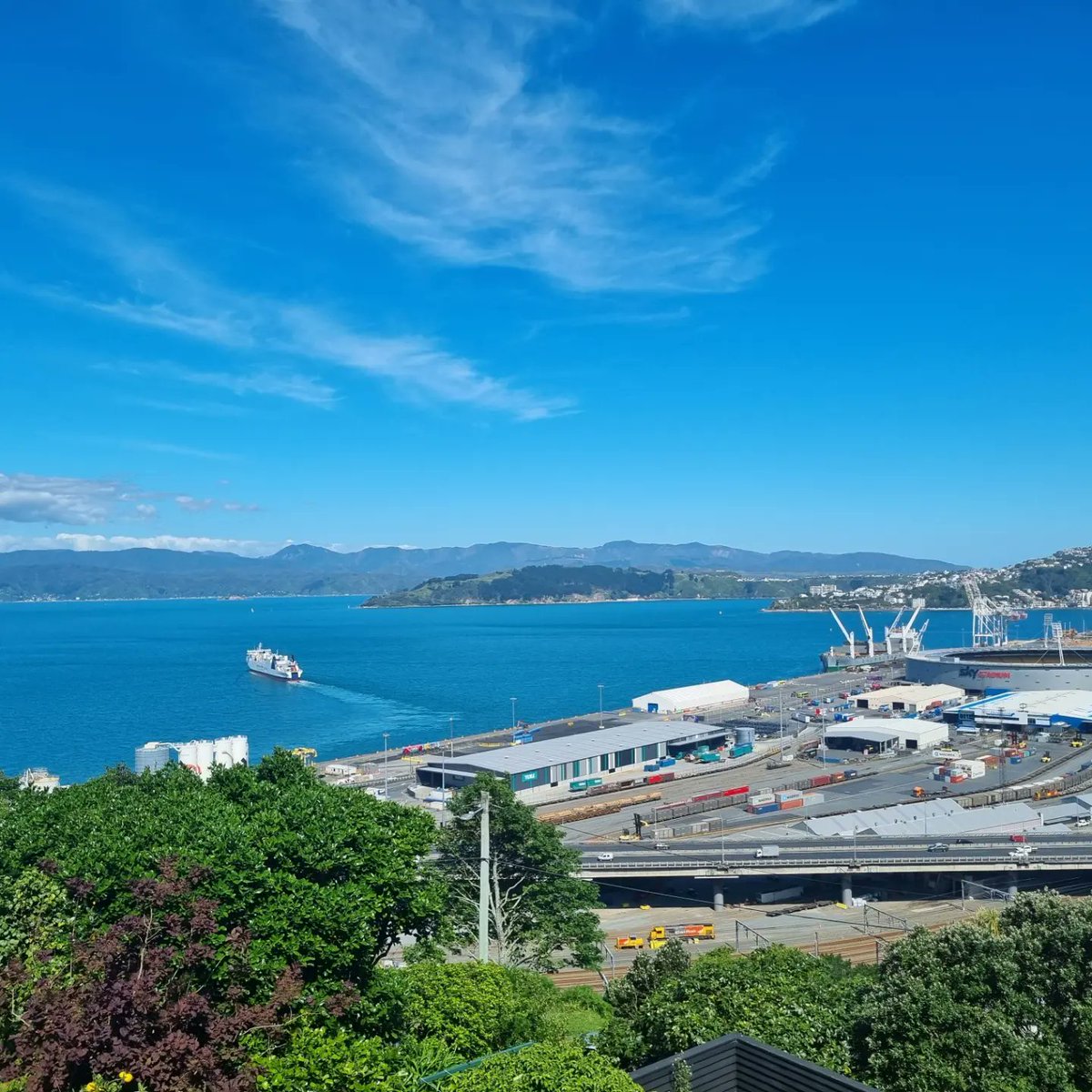 Peter O'Carroll tweet media