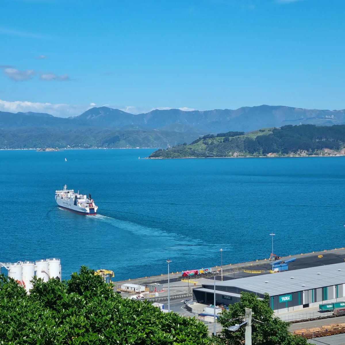 Peter O'Carroll tweet media